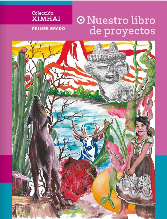 1NLP LTG Nuestro Libro de Proyectos